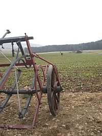 Testschuss